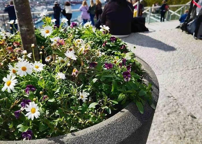 Feriehus Floien -free Parking Bergen